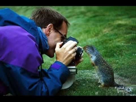 Фото юмор о нелегком труде профи