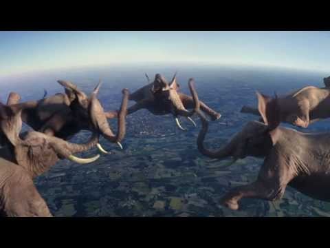 Необычный животный мир в рекламном ролике