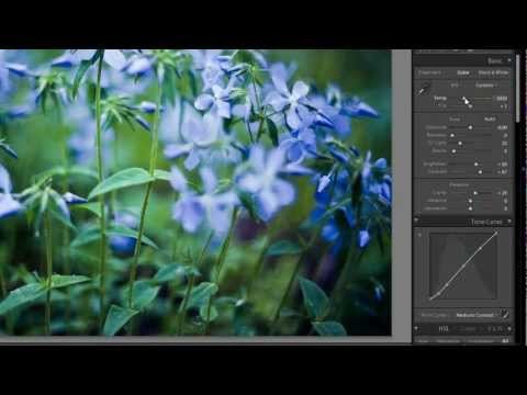 Photoshop Lightroom: Цветокоррекция фотографий