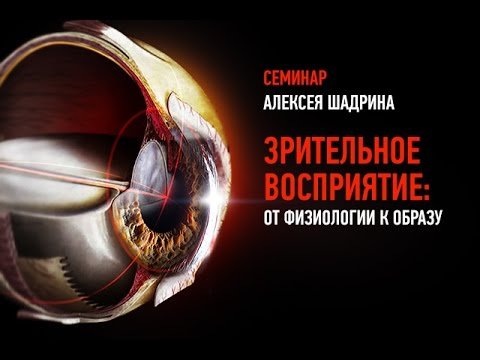 Зрительное восприятие: от физиологии к образу. Алексей Шадрин