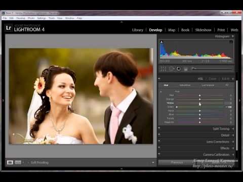 Тонирование фотографий в Lightroom