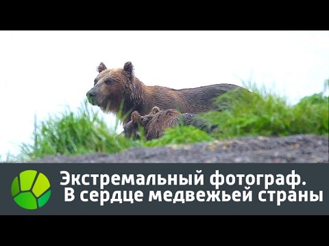 Экстремальный фотограф. В сердце медвежьей страны 