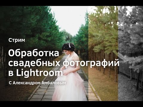 Обработка свадебных фотографий с Александром Амбаловым