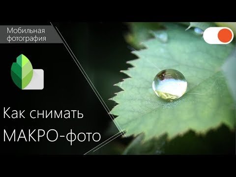 Макро фото на мобильный телефон