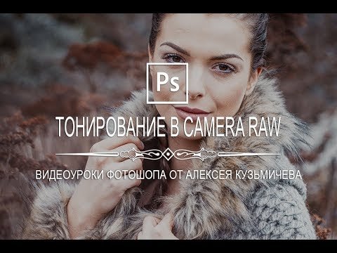 Тонирование фотографии в Camera RAW