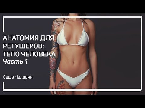 Анатомия для ретушеров: тело человека