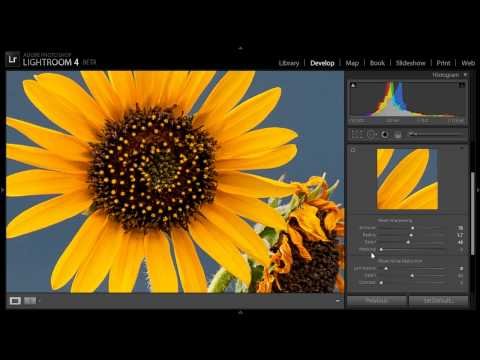 Увеличение резкости изображений в Lightroom 4