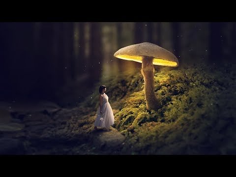 Manipulation Tutorial