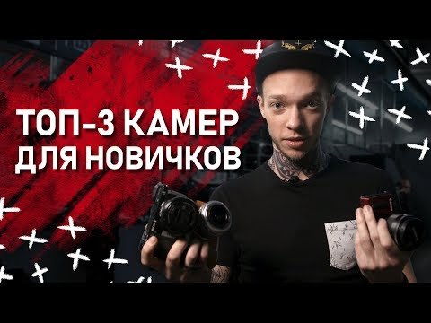 Топ-3 бюджетных камер для начинающих в 2019 году