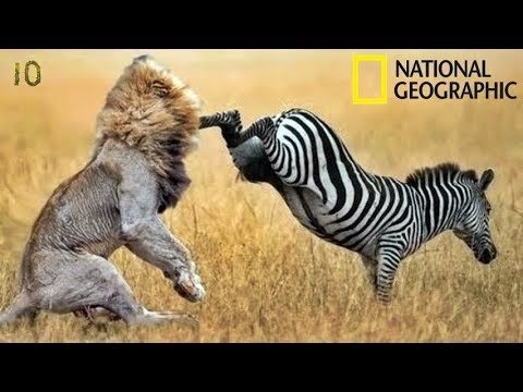 топ-30 фотографий National Geographic