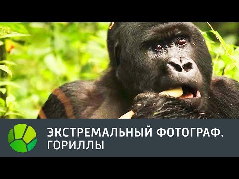 Экстремальный фотограф | Живая Планета