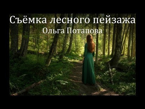 Съёмка лесного пейзажа