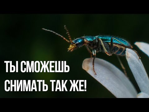 Макро фото без макрообъектива