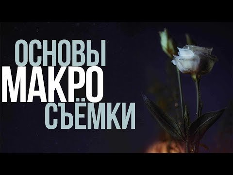 Основы макросъемки с Canon