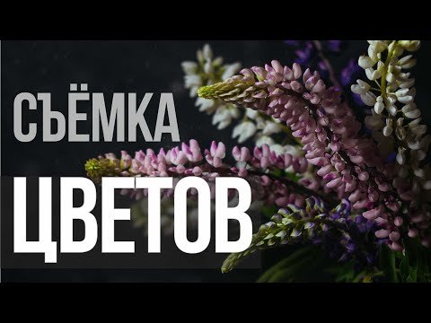 Фотосъемка и обработка цветов. Видеоурок