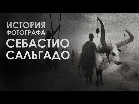 Знаменитые фотографы | Себастио Сальгадо