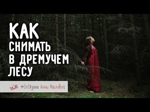 Как снимать в дремучем лесу?