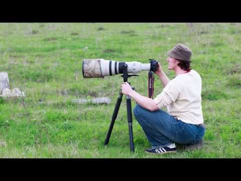 20 советов по видеосъёмке птиц