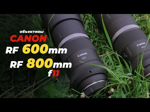 Тестируем Canon RF 600mm f/11 и Canon RF 800mm f/11