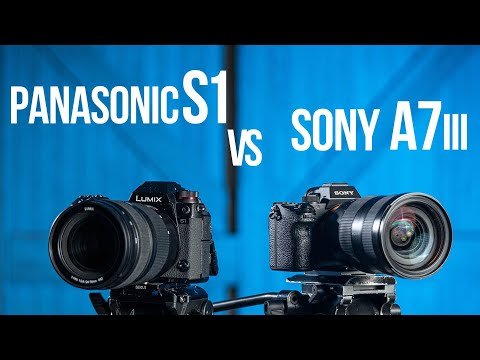 Sony a7 III vs Panasonic S1