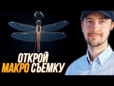 Макро съемка, как снимать крупные детали, как выбрать объектив для макро.