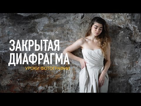 Бирюк В.. Зверь лютый Книга 38 Ляхолетье