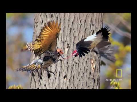 В чем секрет отличных фотографий?