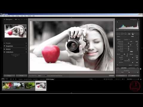 PRO Lightroom: обработка фотографий. Выделение цветом