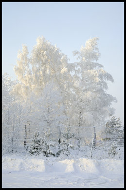 Владимир 