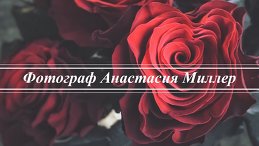 Анастасия Миллер