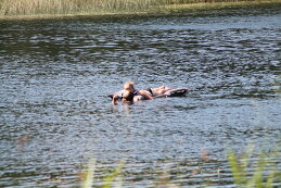 света светлая