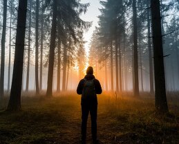 Виктор Желенговский