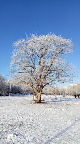 Айгуль 