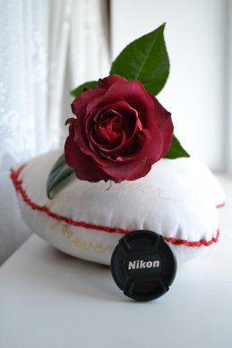 Юлечка Ваганова