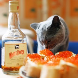 Михаил Ушаков