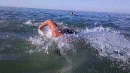 Анвар Сурхаев