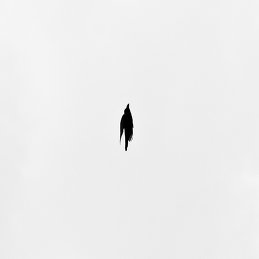 Сергей Попов