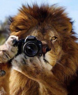 Тамара Ардавова