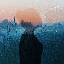 Анастасия Красильникова