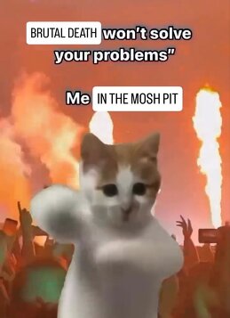 Наталья (ShadeNataly) Мельник