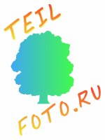 TEIL- FOTO