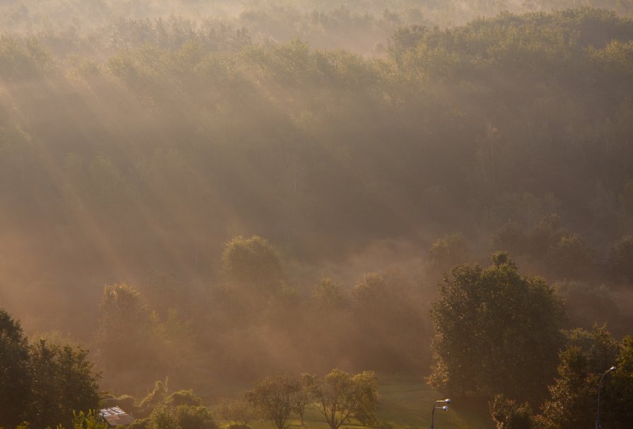 Осень - Алексей Рогальский