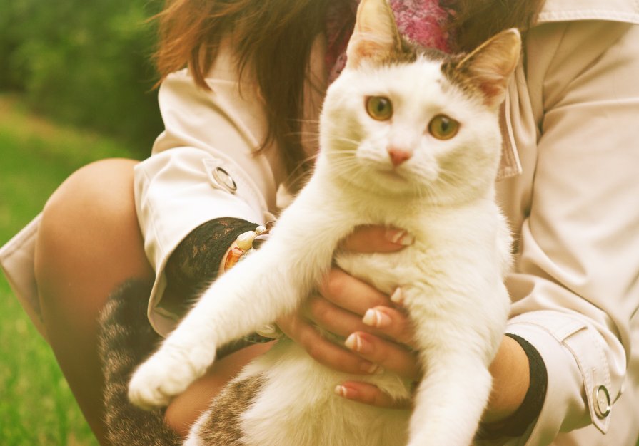 Максимилиан встречает осень) - Екатерина Куляпина