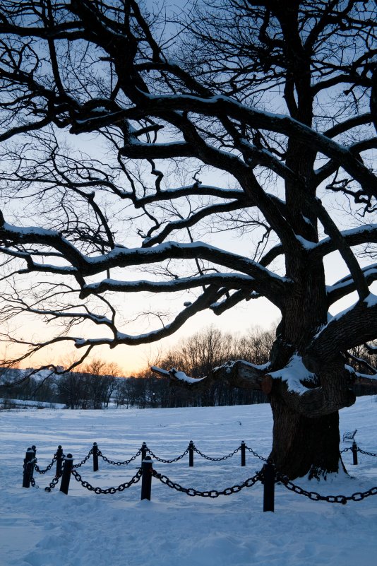у лукоморья..... - Виктория Гринченко
