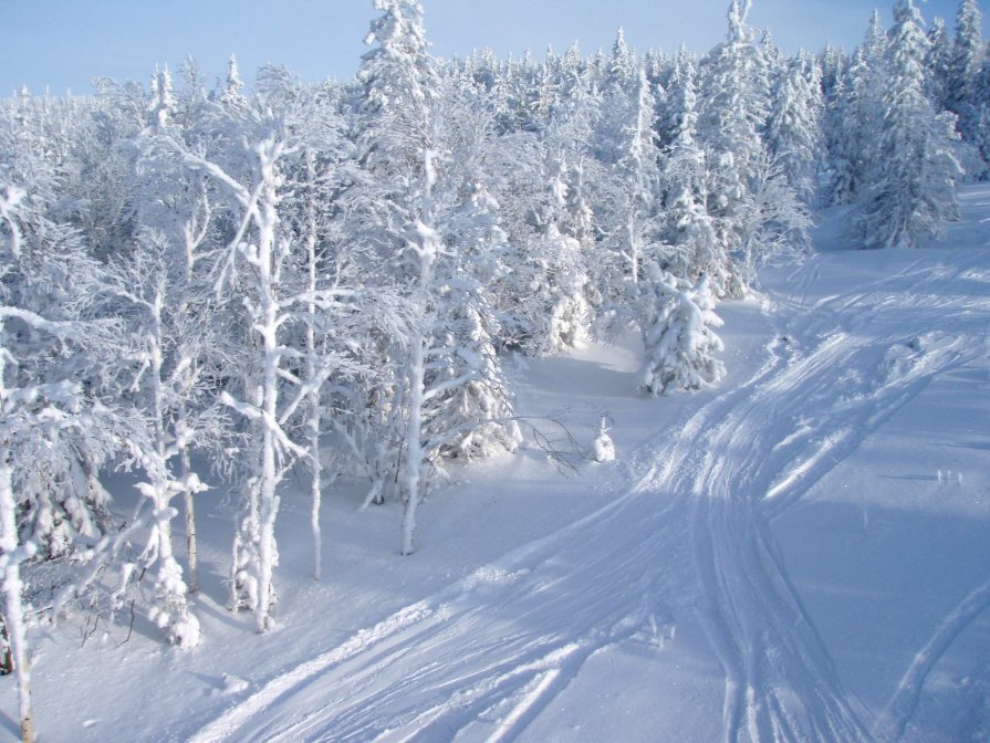 Гора Белая - Сергей Комков