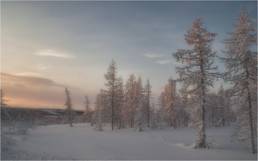 * * * * * - Evgeny Kuzhilev