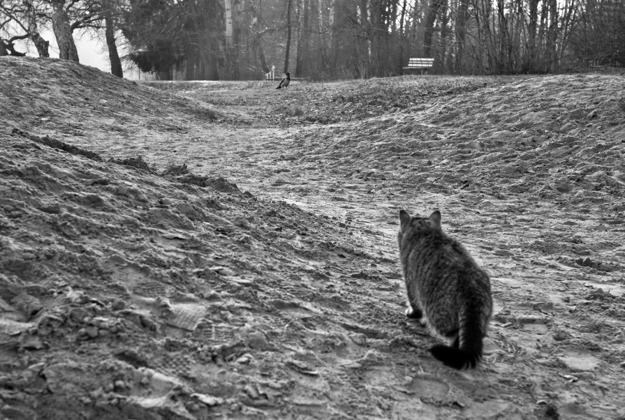 Охота - Юлия Fa