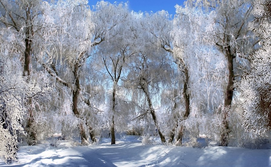 В январе. - Виктор Комиссаров