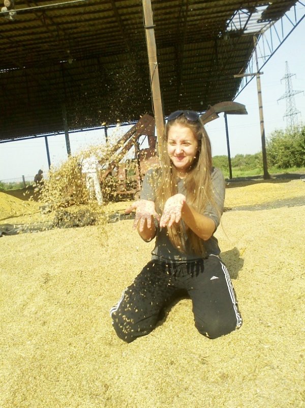 Практика бухгалтеров - Мария Лепихова