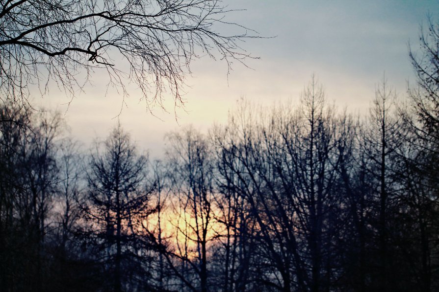 Зимний вечер - Наталия Рачкова